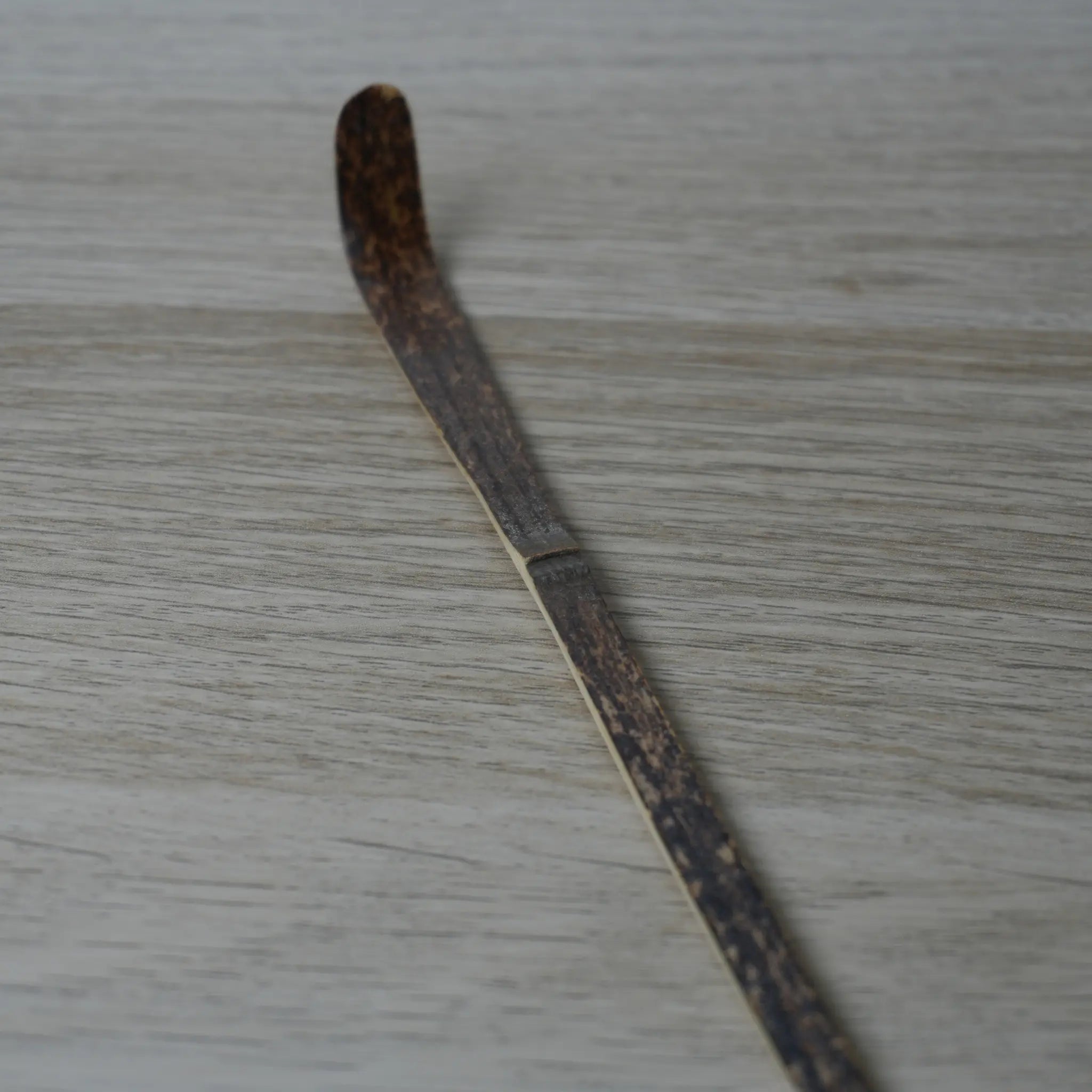 Chashaku auténtico japonés de madera oscura para la ceremonia tradicional del té